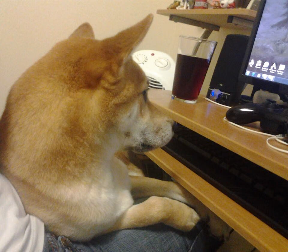 国王鏖战热火惊天逆转！杰伦·格林末节封神，一战奠定关键先生美名